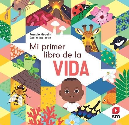 MI PRIMER LIBRO DE LA VIDA | 9788498569377 | HÉDELIN, PASCALE | Llibreria La Gralla | Llibreria online de Granollers
