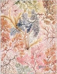 AGENDA PAPERBLANKS 2024 S/V VERTICAL ANEMONE ULTRA FLEXI | 9781439708477 | PB FS0847-7 | Llibreria La Gralla | Llibreria online de Granollers