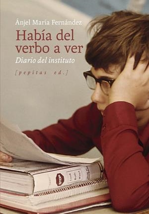 HABÍA DEL VERBO A VER | 9788418998492 | FERNÁNDEZ PASCUAL, ÁNJEL MARÍA | Llibreria La Gralla | Librería online de Granollers