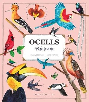 OCELLS VIDA SECRETA | 9788419095534 | ESTEBAN, DIANA | Llibreria La Gralla | Librería online de Granollers