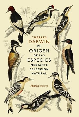 ORIGEN DE LAS ESPECIES,  EL | 9788411484565 | DARWIN, CHARLES | Llibreria La Gralla | Llibreria online de Granollers
