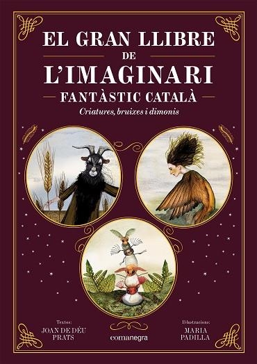 GRAN LLIBRE DE L'IMAGINARI FANTÀSTIC CATALÀ, EL  | 9788419590558 | PRATS, JOAN DE DÉU ; PADILLA, MARIA | Llibreria La Gralla | Llibreria online de Granollers