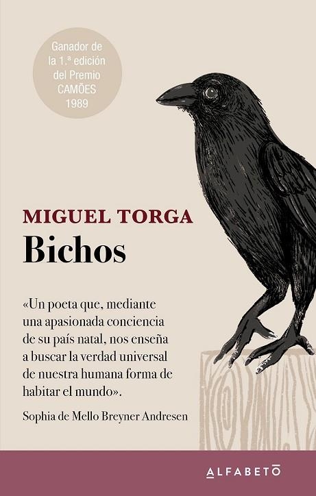 BICHOS | 9788417951467 | TORGA, MIGUEL | Llibreria La Gralla | Llibreria online de Granollers