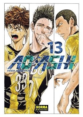 AO ASHI 13 | 9788467963328 | KOBAYASHI, YUGO | Llibreria La Gralla | Llibreria online de Granollers