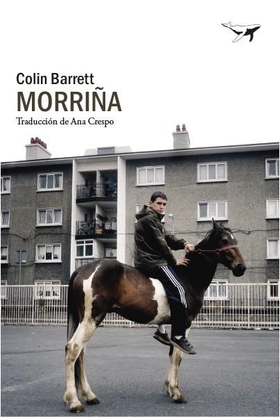 MORRIÑA | 9788412619423 | BARRETT, COLIN | Llibreria La Gralla | Llibreria online de Granollers