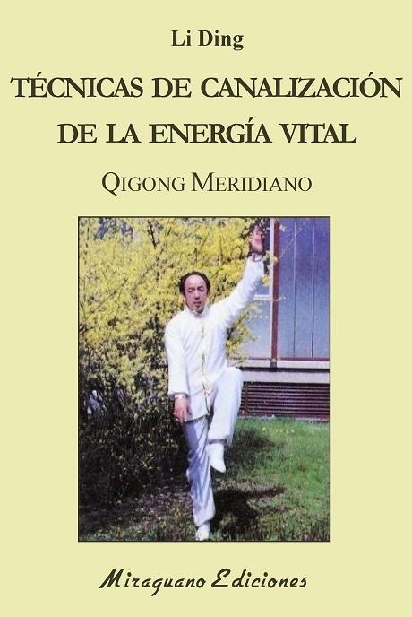 TÉCNICAS DE CANALIZACIÓN DE LA ENERGÍA VITAL | 9788478135103 | LI DING | Llibreria La Gralla | Librería online de Granollers