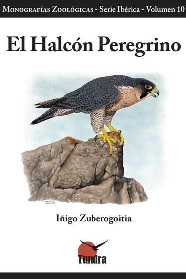 HALCON PEREGRINO, EL | 9788419624345 | AA.VV | Llibreria La Gralla | Librería online de Granollers