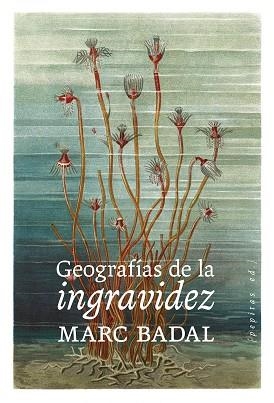 GEOGRAFÍAS DE LA INGRAVIDEZ | 9788418998669 | BADAL PIJOAN, MARC | Llibreria La Gralla | Llibreria online de Granollers