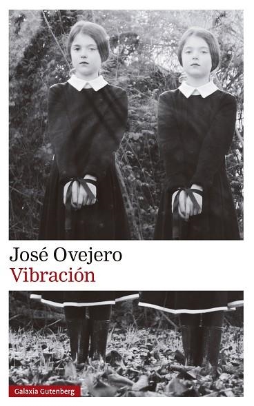 VIBRACIÓN | 9788419738615 | OVEJERO, JOSÉ | Llibreria La Gralla | Llibreria online de Granollers