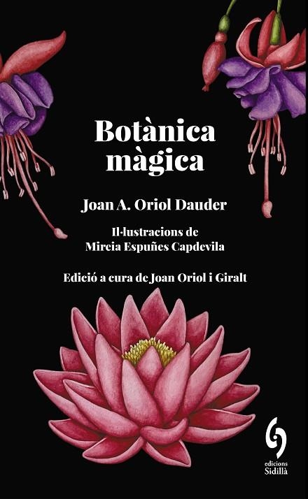 BOTÀNICA MÀGICA | 9788412730876 | ORIOL DAUDER, JOAN ANTON | Llibreria La Gralla | Librería online de Granollers