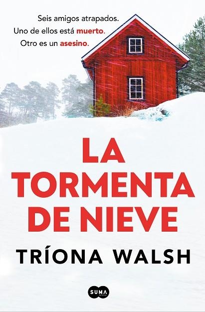 TORMENTA DE NIEVE | 9788491299028 | WALSH, TRÍONA | Llibreria La Gralla | Llibreria online de Granollers