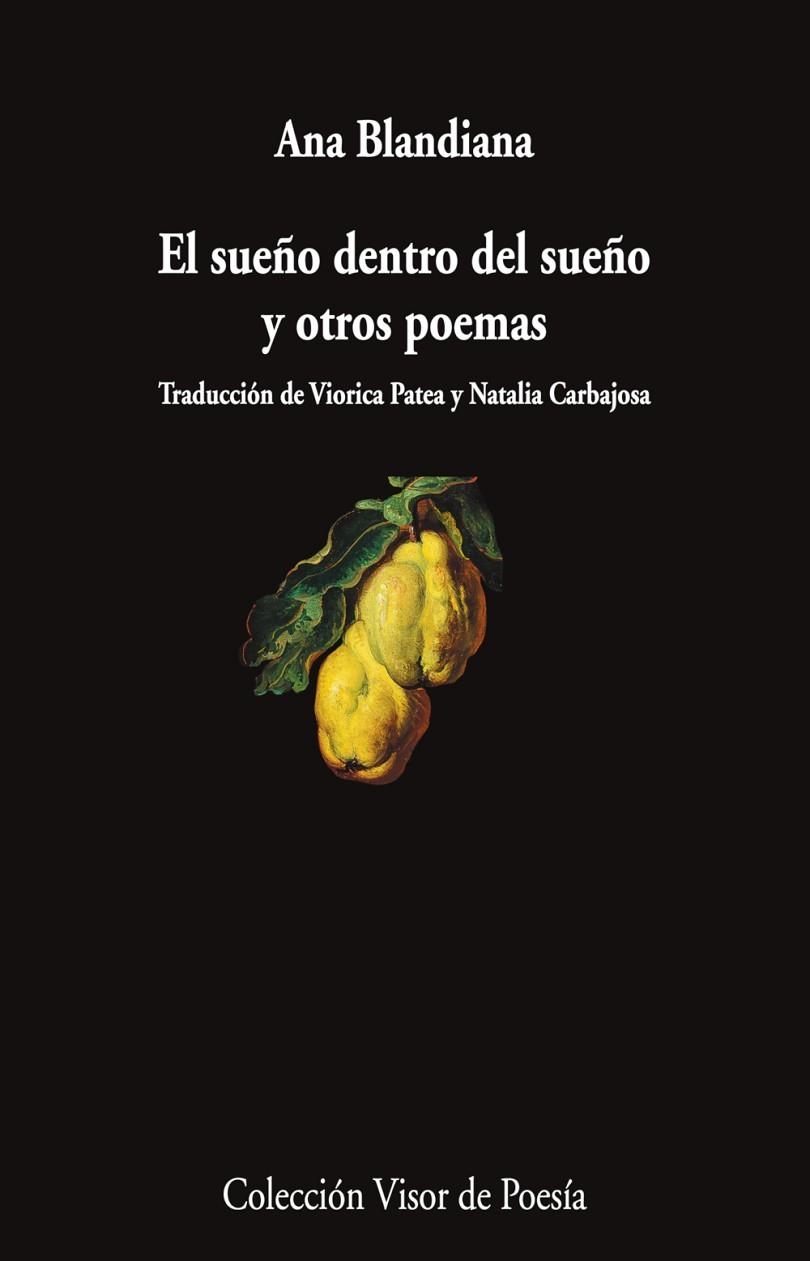 SUEÑO DENTRO DEL SUEÑO Y OTROS POEMAS, EL | 9788498955132 | BLANDIANA, ANA | Llibreria La Gralla | Librería online de Granollers