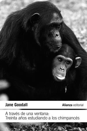 A TRAVÉS DE UNA VENTANA: TREINTA AÑOS ESTUDIANDO A LOS CHIMPANCÉS | 9788411485609 | GOODALL, JANE | Llibreria La Gralla | Librería online de Granollers