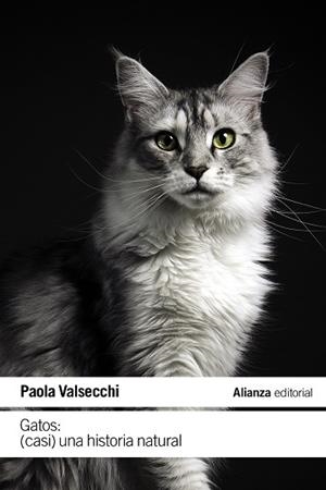 GATOS: (CASI) UNA HISTORIA NATURAL | 9788411485616 | VALSECCHI, PAOLA | Llibreria La Gralla | Librería online de Granollers