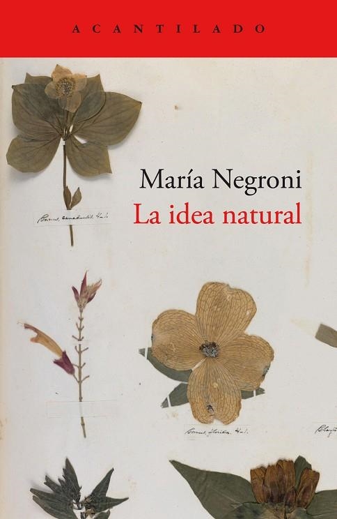 IDEA NATURAL, LA | 9788419036872 | NEGRONI, MARÍA | Llibreria La Gralla | Llibreria online de Granollers