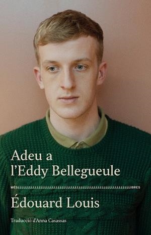 ADEU A L'EDDY BELLEGUEULE | 9788417353544 | LOUIS, EDOUARD | Llibreria La Gralla | Librería online de Granollers