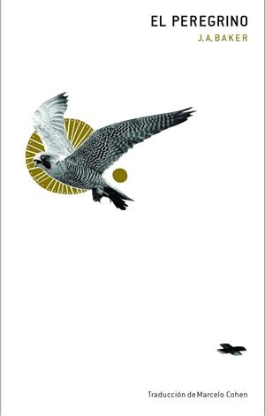 PEREGRINO, EL | 9788412816020 | BAKER, J.A. | Llibreria La Gralla | Llibreria online de Granollers