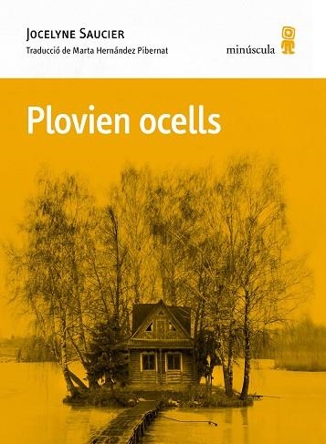 PLOVIEN OCELLS | 9788412662092 | SAUCIER, JOCELYNE | Llibreria La Gralla | Librería online de Granollers