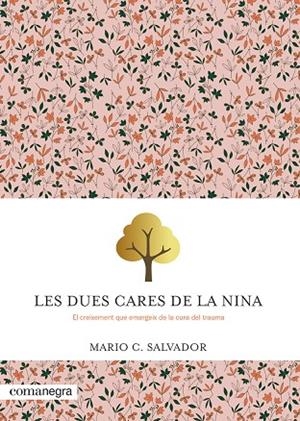 DUES CARES DE LA NINA, LES | 9788410161047 | SALVADOR, MARIO C. | Llibreria La Gralla | Llibreria online de Granollers