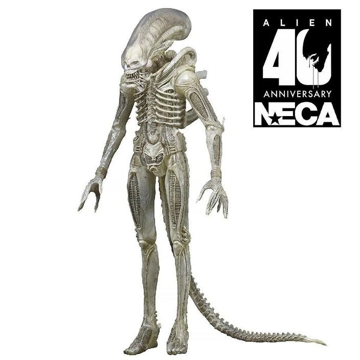 BIG CHAP 40 ANIVERSARIO SERIE 1 SCALE ACTION FIG. 18 CM ALIEN RE-RUN | 0634482515969 | NECA | Llibreria La Gralla | Librería online de Granollers