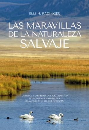 MARAVILLAS DE LA NATURALEZA, LAS | 9788412724165 | RADINGER, ELLI H. | Llibreria La Gralla | Librería online de Granollers