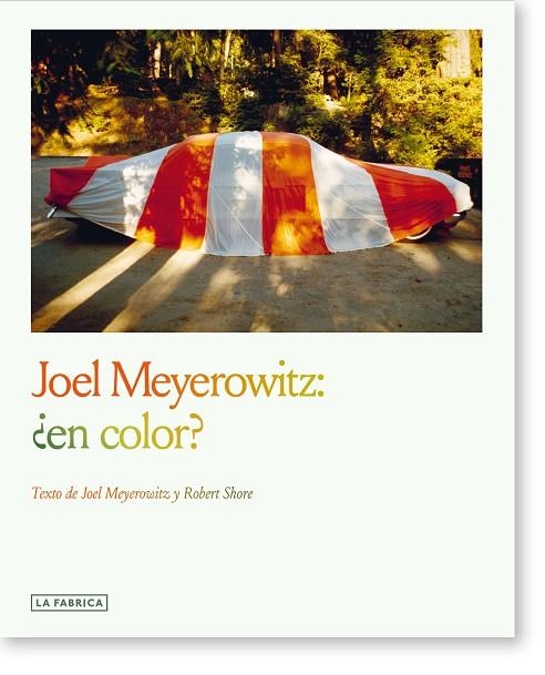 JOEL MEYEROWITZ:¿EN COLOR? | 9788410024007 | MEYEROWITZ, JOEL | Llibreria La Gralla | Llibreria online de Granollers