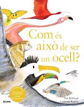 COM ÉS AIXÒ DE SER UN OCELL? | 9788410048102 | BIRKHEAD, TIM / RAYNER, CATHERINE | Llibreria La Gralla | Librería online de Granollers