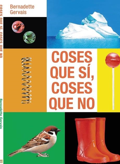 COSES QUE SÍ, COSES QUE NO | 9788419893260 | GERVAIS, BERNADETTE | Llibreria La Gralla | Librería online de Granollers