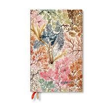AGENDA18 MESOS 2024-2025 PAPERBLANKS ANEMONA SV | 9781408753941 | 5394 | Llibreria La Gralla | Llibreria online de Granollers