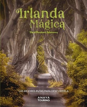 IRLANDA MÁGICA | 9788491587224 | ROCABERTI, DAVID | Llibreria La Gralla | Llibreria online de Granollers