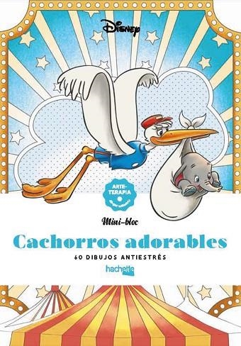 CACHORROS ADORABLES | 9788419804341 | AA.VV. | Llibreria La Gralla | Librería online de Granollers