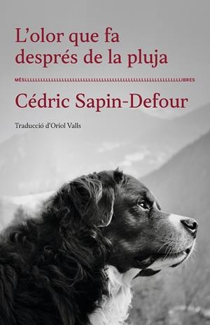 OLOR QUE FA DESPRÉS DE LA PLUJA, L' | 9788417353568 | SAPIN-DEFOUR, CEDRIC | Llibreria La Gralla | Librería online de Granollers