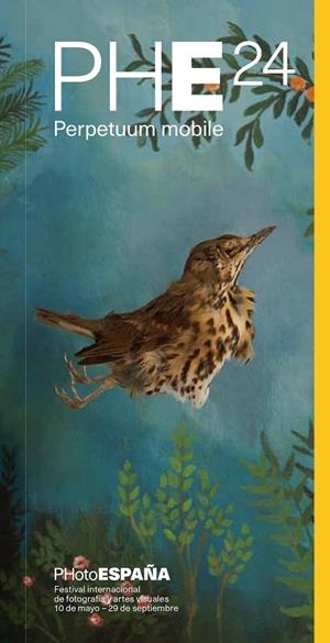 GUÍA PHOTOESPAÑA 2024 | 9788410024359 | VV.AA | Llibreria La Gralla | Librería online de Granollers