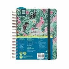 AGENDA PROFESSOR 2024-25 FINOCAM MAGISTRAL A5 ESTAMPATS  SV | 8422952380221 | 53359 | Llibreria La Gralla | Librería online de Granollers