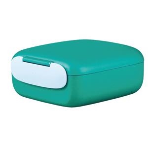 CARMAMYOLA BIOLOCO PLANT URBAN LUNCHBOX BODACIOUS GREEN PETITA | 4260752957458 | CHIC BPUL107 | Llibreria La Gralla | Librería online de Granollers