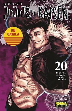 JUJUTSU KAISEN 20 CATALA | 9788467969924 | AKUTAMI, GEGE | Llibreria La Gralla | Librería online de Granollers