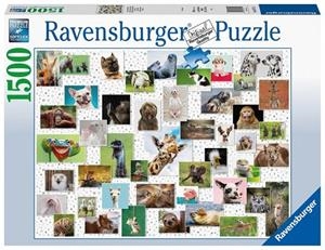 PUZZLE 1500 PZ COLLAGE DE ANIMALES DIVERTIDOS | 4005556167111 | RAVENSBURGUER | Llibreria La Gralla | Librería online de Granollers