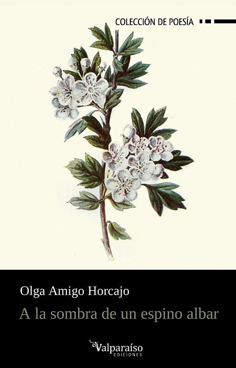 A LA SOMBRA DE UN ESPINO ALBAR | 9788410073593 | AMIGO HORCAJO, OLGA | Llibreria La Gralla | Librería online de Granollers