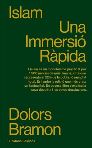 ISLAM | 9788410013100 | BRAMON, DOLORS | Llibreria La Gralla | Librería online de Granollers