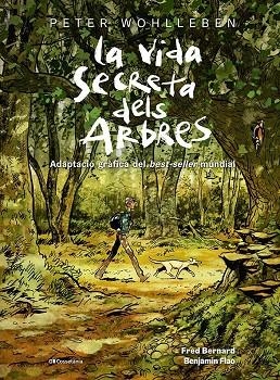 VIDA SECRETA DELS ARBRES, LA | 9788413563855 | BERNARD, FRED ;  WOHLLEBEN, PETER | Llibreria La Gralla | Librería online de Granollers