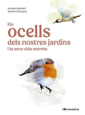 OCELLS DELS NOSTRES JARDINS I LA SEVA VIDA SECRETA, ELS | 9788413563626 | ISAMBERT, ANTOINE | Llibreria La Gralla | Llibreria online de Granollers