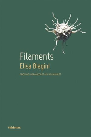 FILAMENTS (EDICIÓ BILINGÜE ITALIÀ / CATALÀ) | 9788419571359 | BIAGINI, ELISA | Llibreria La Gralla | Llibreria online de Granollers