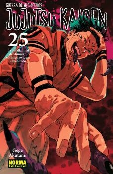 JUJUTSU KAISEN 25 | 9788467971743 | AKUTAMI, GEGE | Llibreria La Gralla | Librería online de Granollers