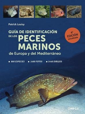 GUIA DE IDENTIFICACION DE LOS PECES MARINOS DE EUROPA | 9788428217774 | PATRICK LOUISY | Llibreria La Gralla | Librería online de Granollers