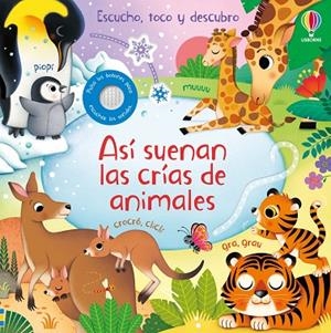 ASI SUENAN LAS CRIAS DE ANIMALES | 9781835401873 | TAPLIN, SAM | Llibreria La Gralla | Librería online de Granollers
