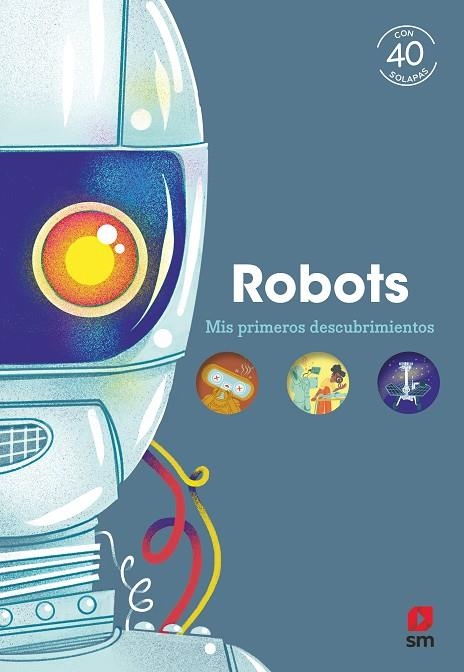 ROBOTS | 9788411826266 | KECIR-LEPETIT, EMMANUELLE | Llibreria La Gralla | Librería online de Granollers