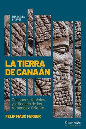 TIERRA DE CANAÁN, LA | 9788413613178 | MASÓ FERRER, FELIP | Llibreria La Gralla | Librería online de Granollers