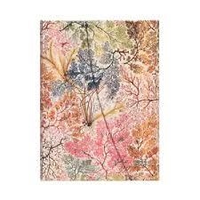 AGENDA PAPERBLANKS 2025 SV HORITZONTAL ANEMONA MIDI | 9781408762271 | DSD6227 | Llibreria La Gralla | Llibreria online de Granollers