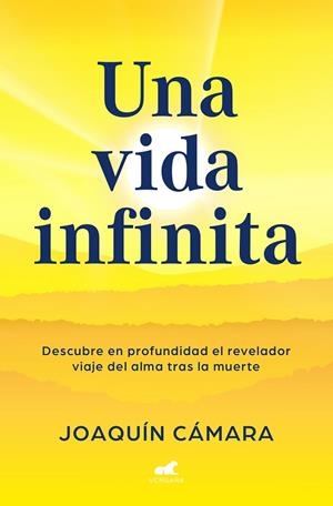 VIDA INFINITA, UNA | 9788419820655 | CÁMARA, JOAQUÍN | Llibreria La Gralla | Librería online de Granollers
