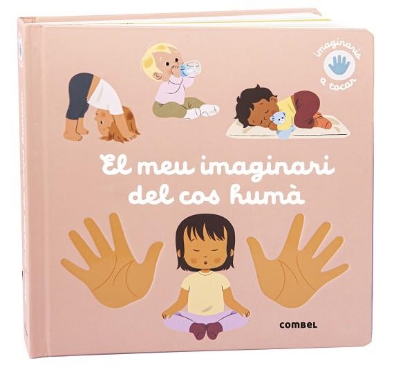 MEU IMAGINARI DEL COS HUMÀ, EL | 9788411581974 | RAGONDET, NATHAIE | Llibreria La Gralla | Librería online de Granollers
